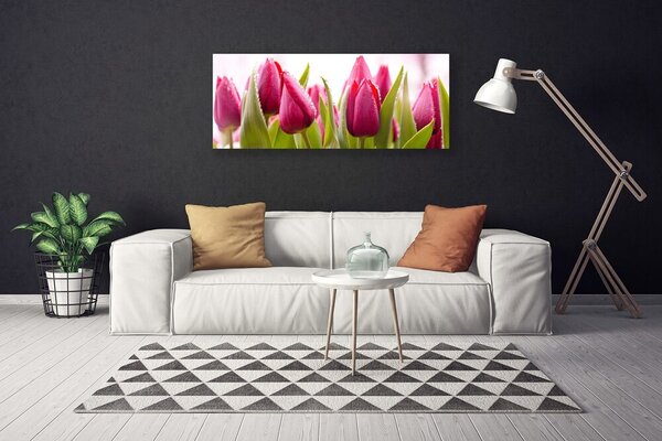 Obraz Canvas Tulipány kvety rastlina 125x50 cm
