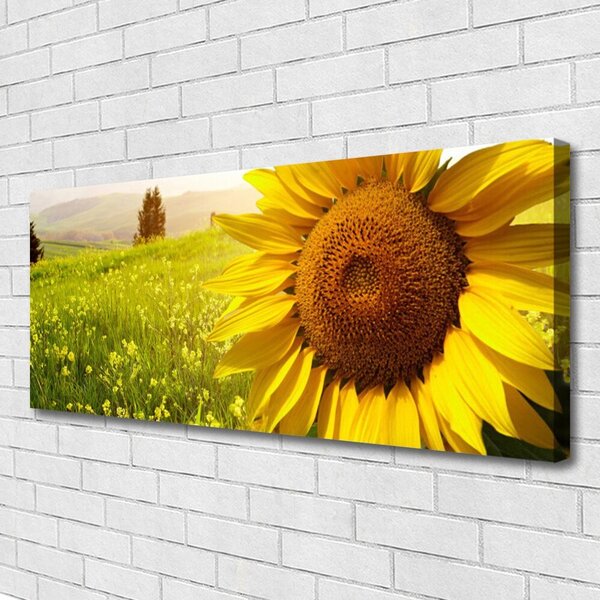 Obraz Canvas Slnečnica kvet rastlina 125x50 cm