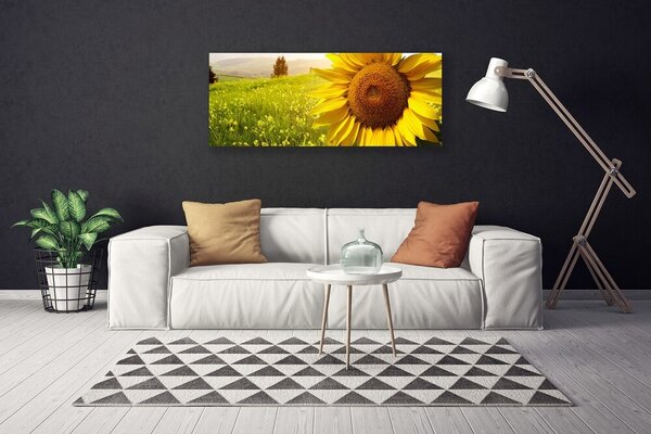 Obraz Canvas Slnečnica kvet rastlina 125x50 cm