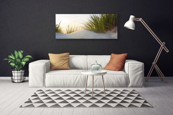 Obraz Canvas Piesok tráva krajina 125x50 cm