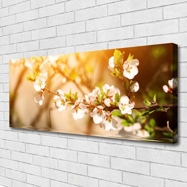 Obraz Canvas Kvety rastlina príroda 125x50 cm