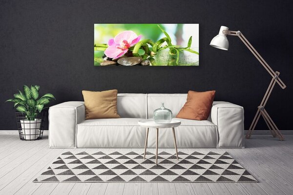 Obraz Canvas Bambus stonka rastlina príroda 125x50 cm
