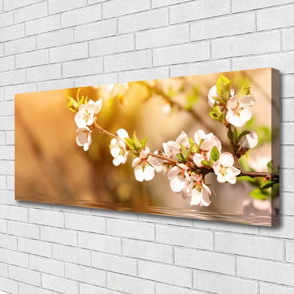 Obraz Canvas Kvety rastlina príroda 125x50 cm
