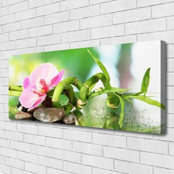 Obraz Canvas Bambus stonka rastlina príroda 125x50 cm