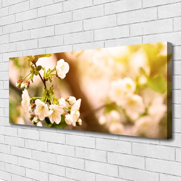 Obraz Canvas Kvety rastlina príroda 125x50 cm