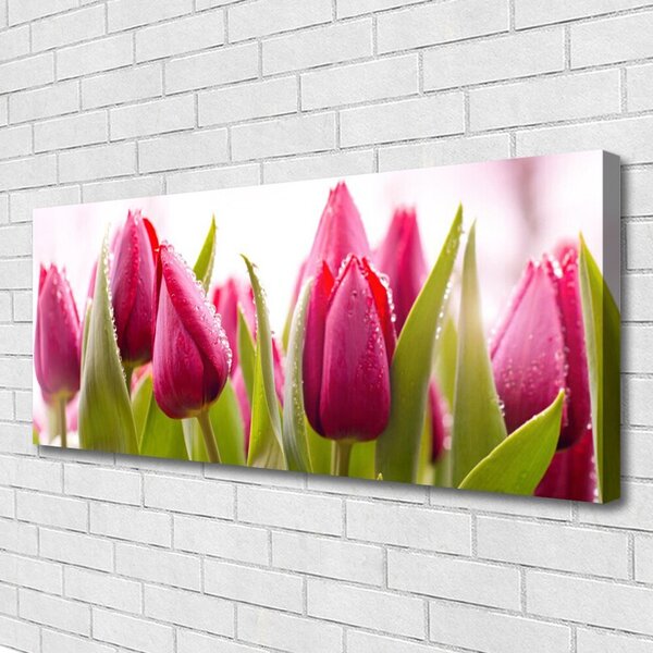 Obraz Canvas Tulipány kvety rastlina 125x50 cm