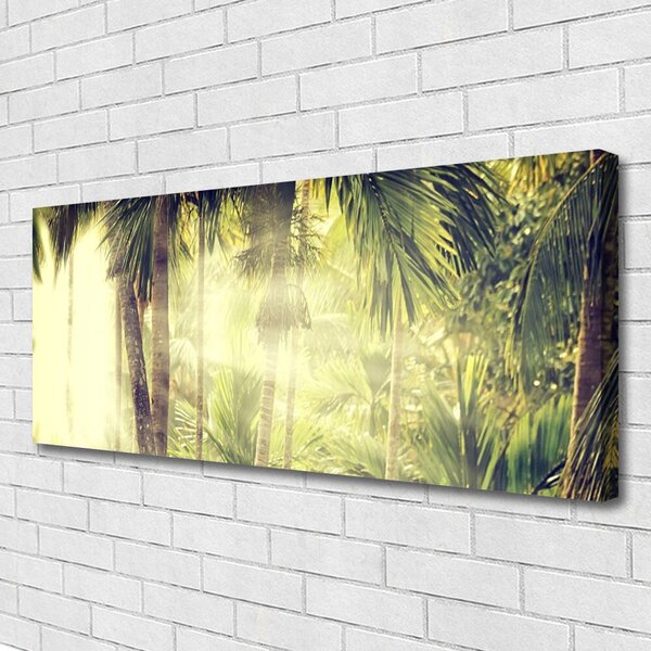 Obraz Canvas Les palmy stromy príroda 125x50 cm
