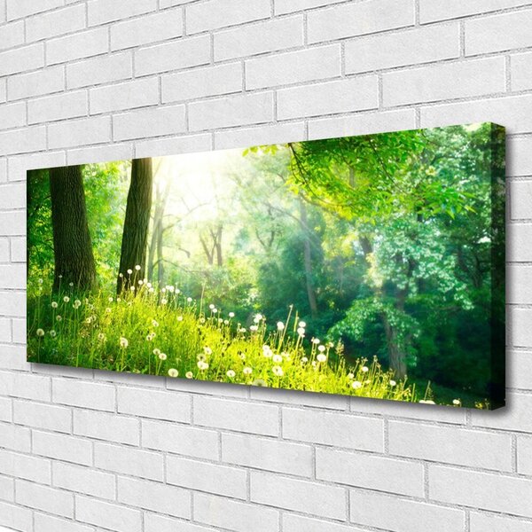 Obraz Canvas Lúka príroda rastlina 125x50 cm