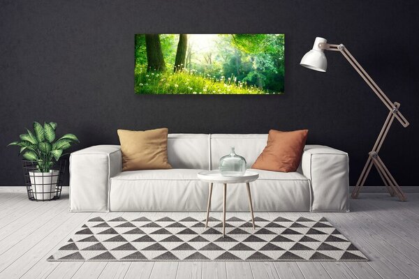 Obraz Canvas Lúka príroda rastlina 125x50 cm