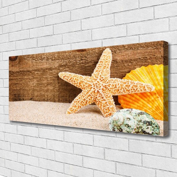 Obraz Canvas Piesok hviezdica umenie 125x50 cm