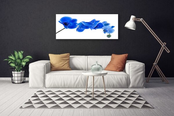 Obraz Canvas Kvet rastlina príroda 125x50 cm
