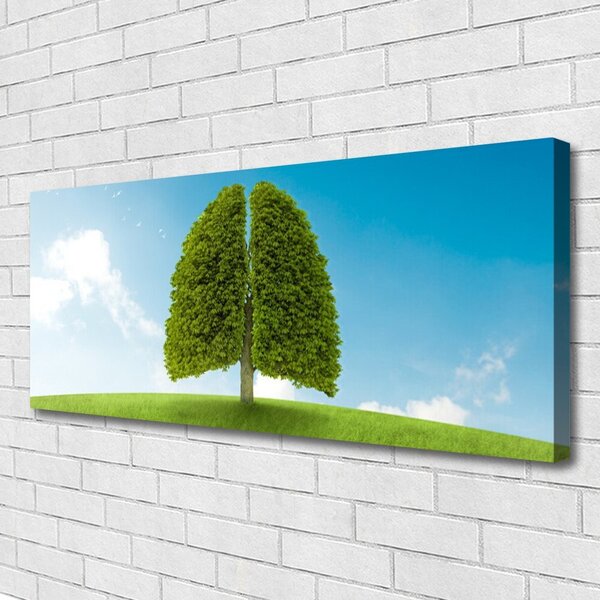 Obraz Canvas Tráva strom pľúca príroda 125x50 cm