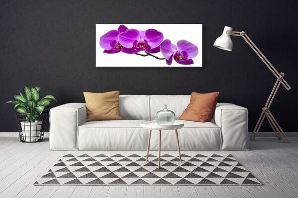 Obraz Canvas Kvety rastlina príroda 125x50 cm