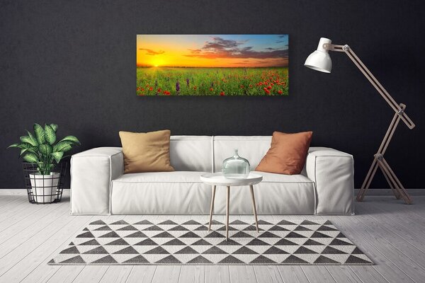 Obraz Canvas Slnko lúka kvety príroda 125x50 cm