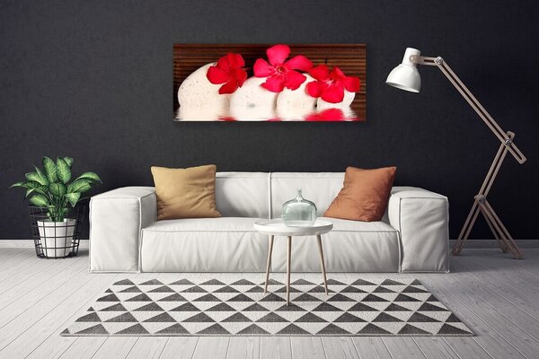 Obraz na plátne Kvet kamene rastlina 125x50 cm