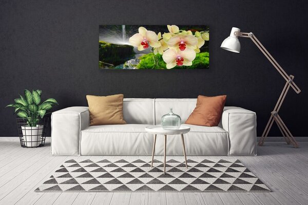 Obraz na plátne Stromy príroda rastlina 125x50 cm
