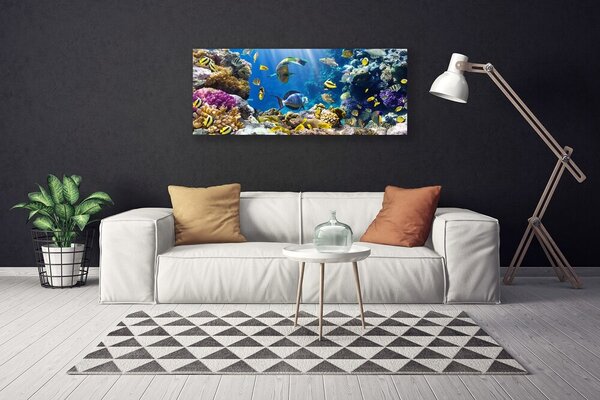 Obraz na plátne Koralový útes príroda 125x50 cm
