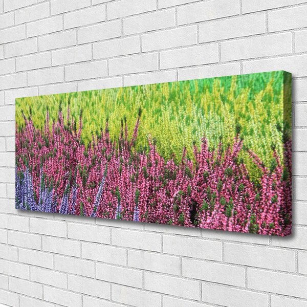 Obraz na plátne Kvet rastlina príroda 125x50 cm