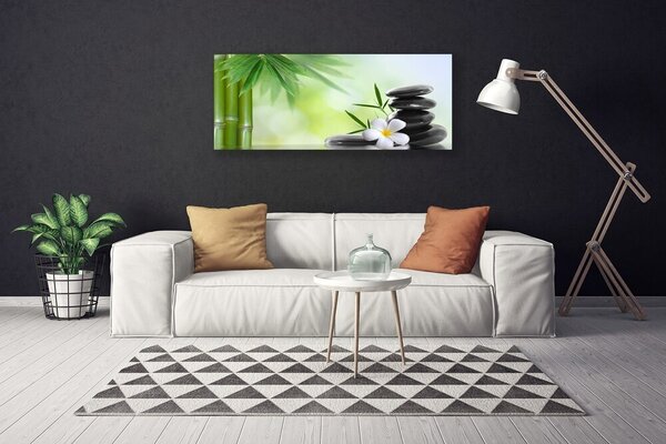Obraz na plátne Bambus stonka kvet rastlina 125x50 cm