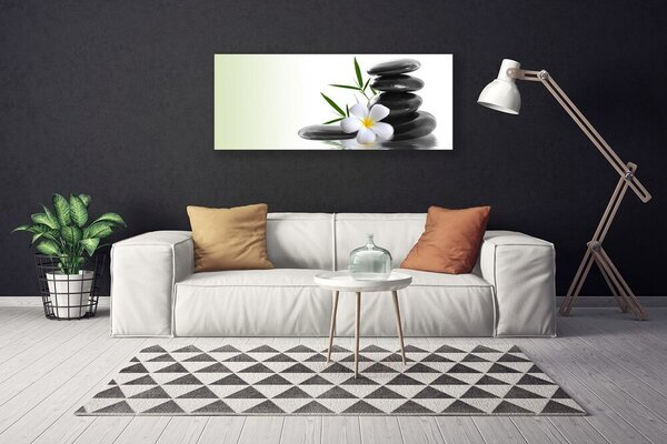 Obraz na plátne Kvet kamene umenie 125x50 cm