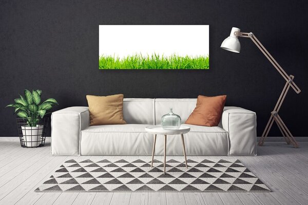 Obraz na plátne Tráva príroda rastlina 125x50 cm