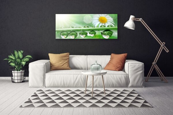 Obraz na plátne Rosa list sedmokrásky príroda 125x50 cm
