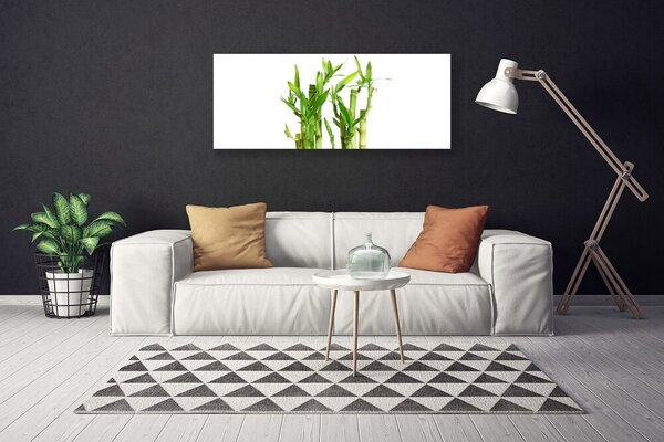 Obraz na plátne Bambus stonka kvet rastlina 125x50 cm