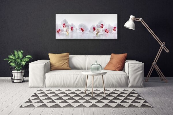 Obraz na plátne Kvety rastlina príroda 125x50 cm