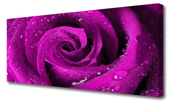 Obraz na plátne Ruže kvet rastlina 125x50 cm
