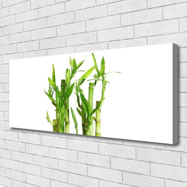Obraz na plátne Bambus stonka kvet rastlina 125x50 cm