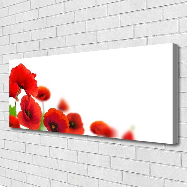 Obraz na plátne Maky rastlina príroda 125x50 cm