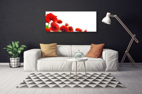 Obraz na plátne Maky rastlina príroda 125x50 cm