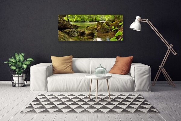 Obraz na plátne Skala jazero príroda 125x50 cm