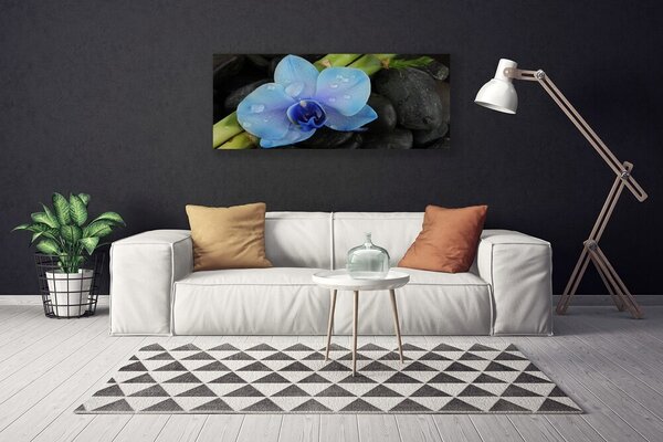 Obraz na plátne Kvet kamene rastlina 125x50 cm