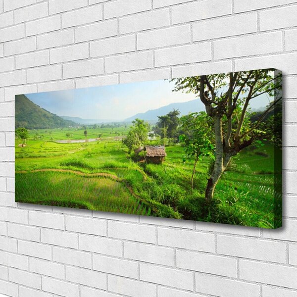 Obraz na plátne Lúka príroda 125x50 cm