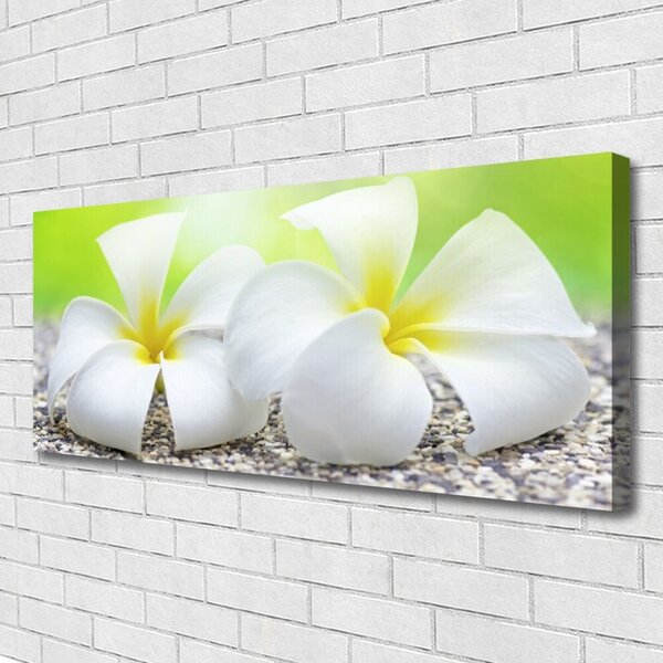 Obraz na plátne Kvety rastlina príroda 125x50 cm
