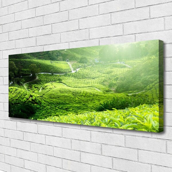 Obraz na plátne Lúka príroda 125x50 cm