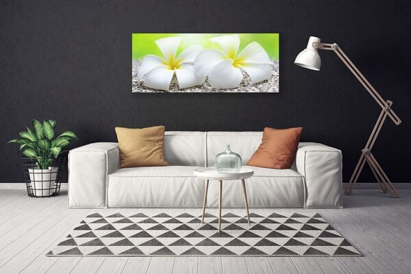 Obraz na plátne Kvety rastlina príroda 125x50 cm