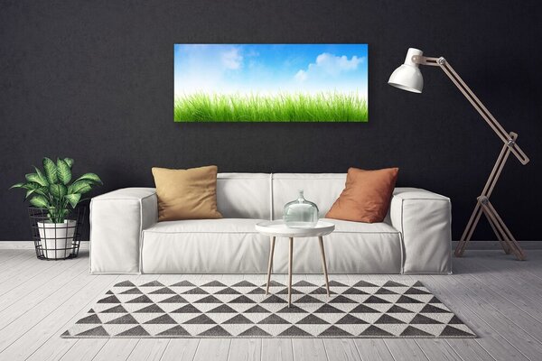 Obraz na plátne Tráva príroda rastlina 125x50 cm