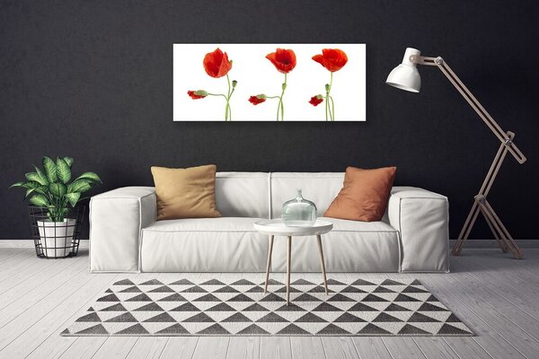 Obraz na plátne Maky rastlina príroda 125x50 cm