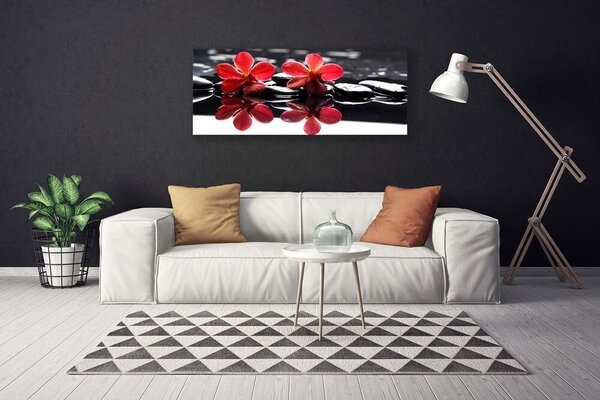 Obraz na plátne Kvet kamene rastlina 125x50 cm