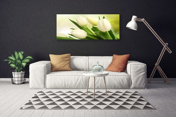 Obraz na plátne Tulipány kvety rastlina 125x50 cm