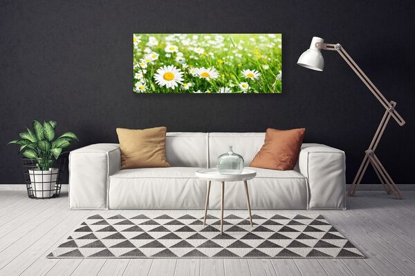 Obraz na plátne Sedmokráska kvet rastlina 125x50 cm