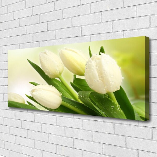 Obraz na plátne Tulipány kvety rastlina 125x50 cm