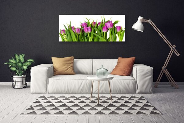 Obraz na plátne Tulipány kvety rastlina 125x50 cm