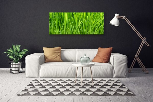 Obraz na plátne Tráva rastlina príroda 125x50 cm