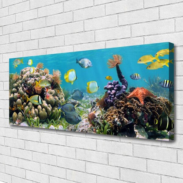Obraz na plátne Koralový útes príroda 125x50 cm