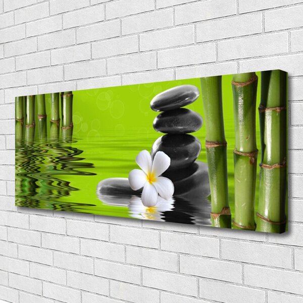 Obraz na plátne Bambus kamene rastlina 125x50 cm