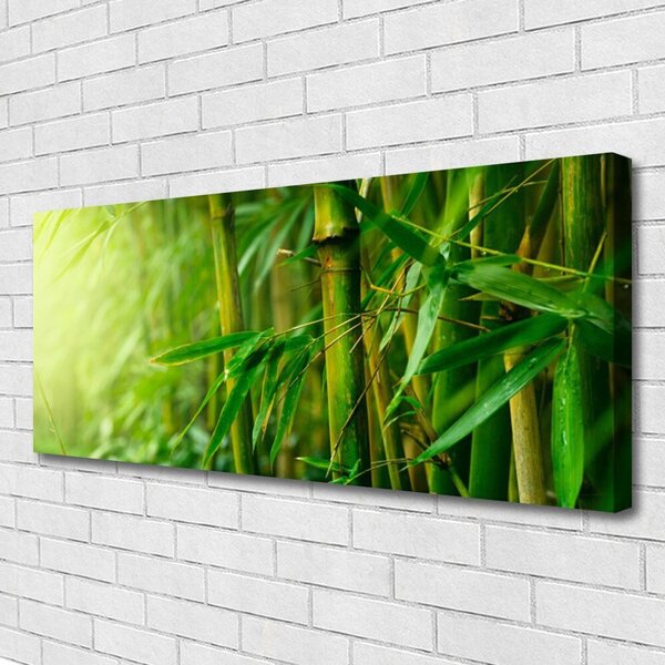 Obraz na plátne Bambus stonky rastlina 125x50 cm