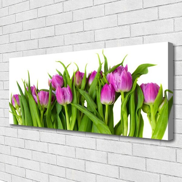 Obraz na plátne Tulipány kvety rastlina 125x50 cm